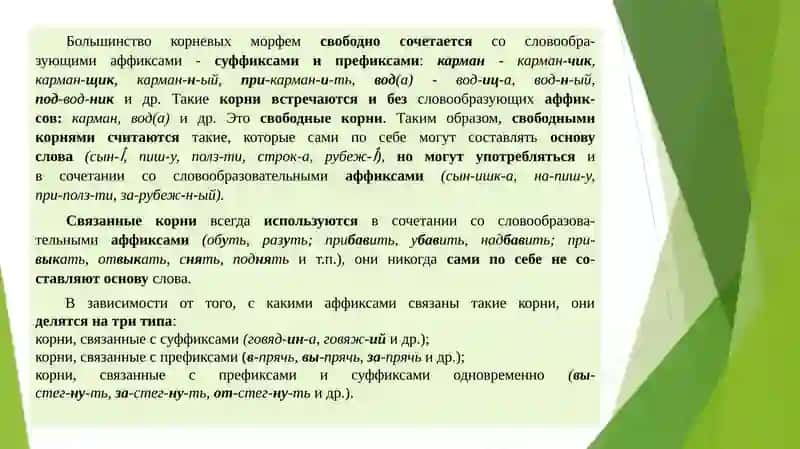 Особенности морфем и их вариантов в организации слова 4