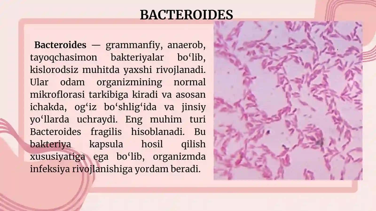 PATOGEN ANAEROBKLOSTRIDIAL BO'LMAGAN INFEKSIYAQO'ZG'ATUVCHILARI (BACTEROIDES, PREVOTELLA, FUSOBACTERIUM) KASALLIKLAR PATOGENEZI, LABORATOR TASHXISI 4