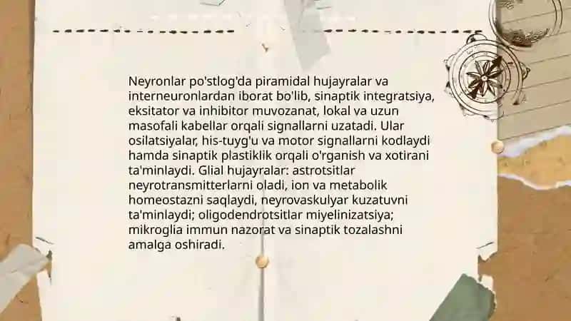 Bosh miya yarim sharlar po'stlog'ining fiziologiyasi 4