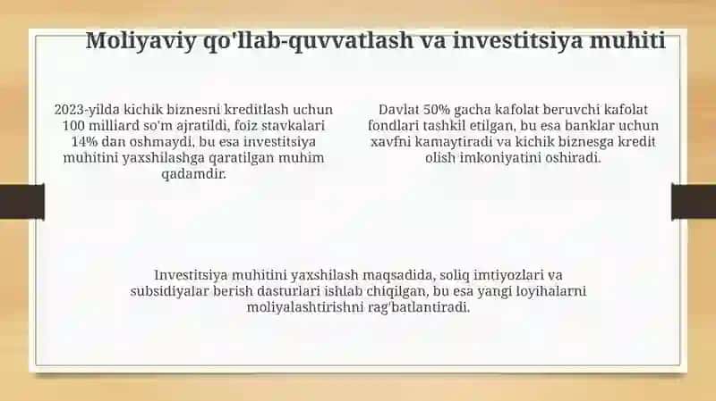 Mintaqalardatadbirkorlikvakichikbiznesningrivojlanishi 4