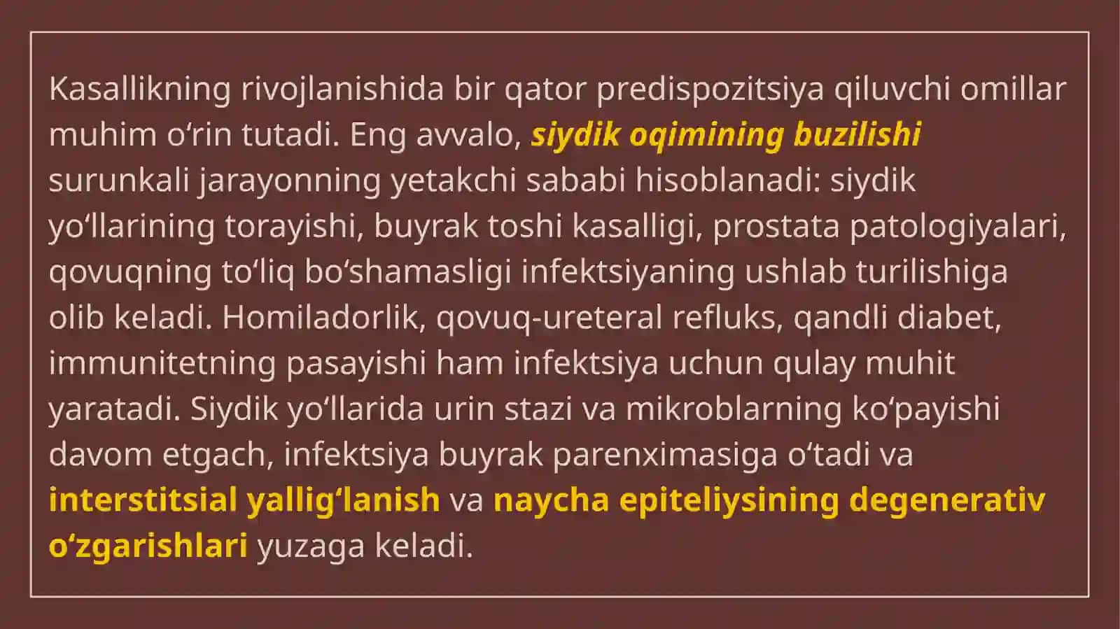 Surunkali piyelonefrit 4