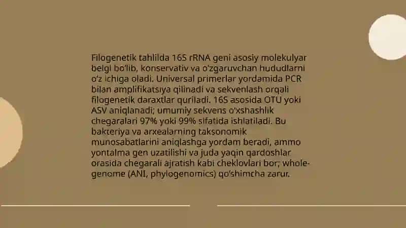Mikroorganizmlarning zamonaviy sistematikasi 4