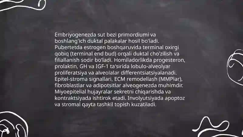 Sut bezlari gistogenezi va gistofiziologiyasi..laktatsiya jarayonining neyrogumoral mehanizmlari 4