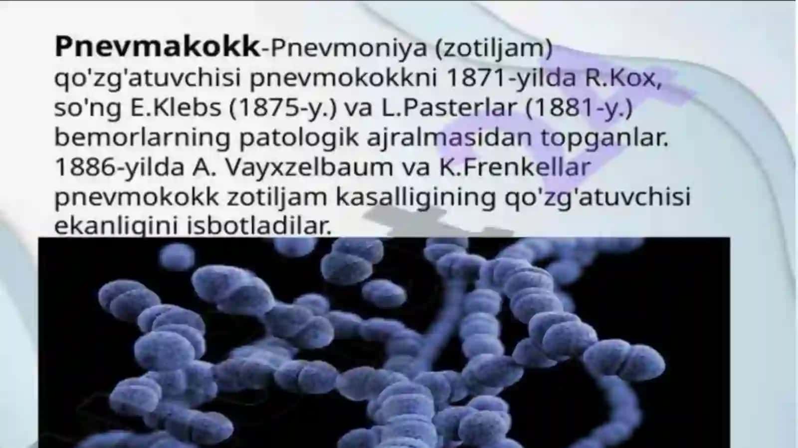 Pnevmokokk, meningokokklar tavsifi, Haemophilus influenzae keltirib chiqargan kasalliklar patogenezi, laborator tashhisi 4
