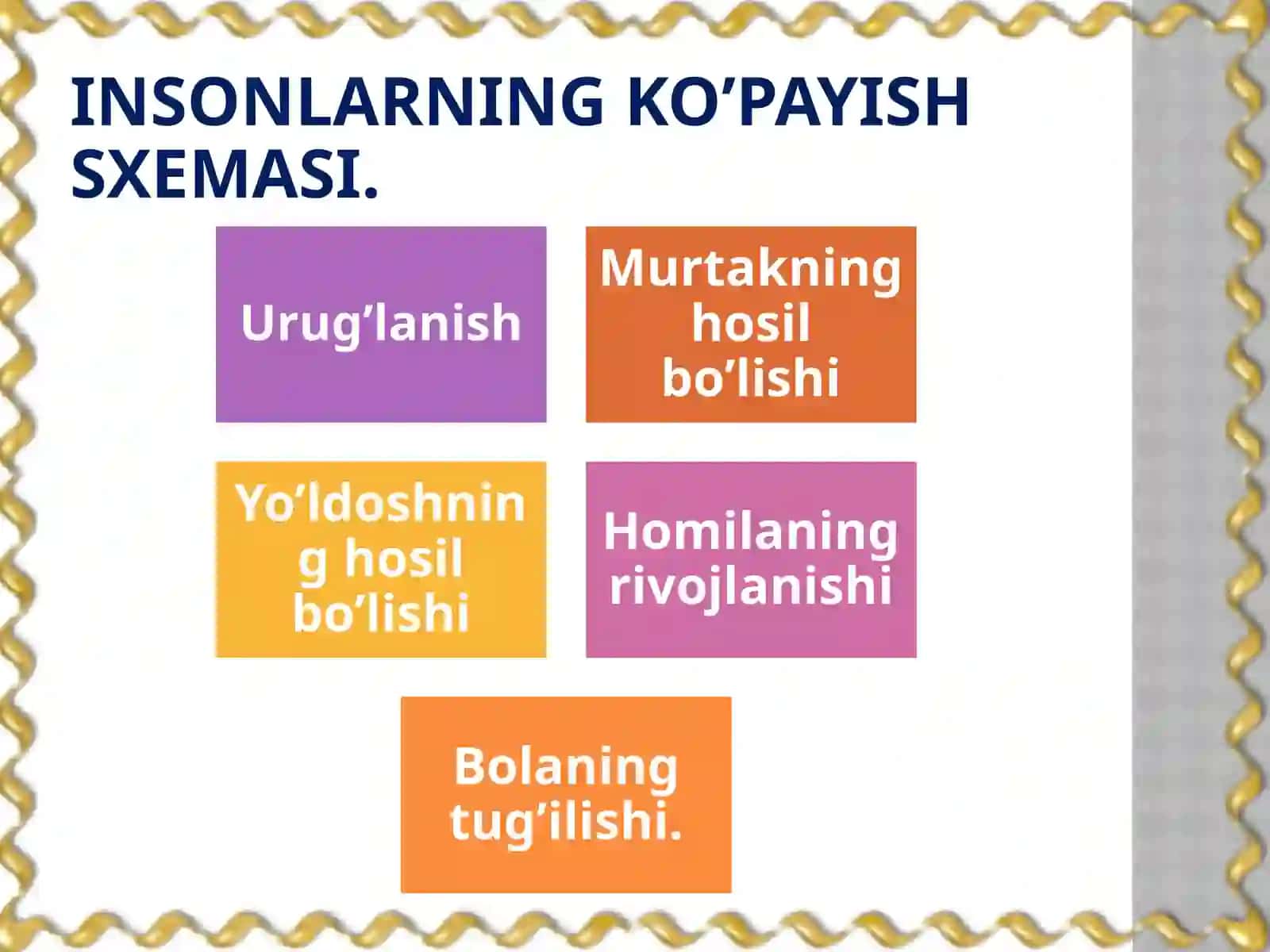 Odaman atomiyasi va fiziologiyasi fanini o'qitish 4