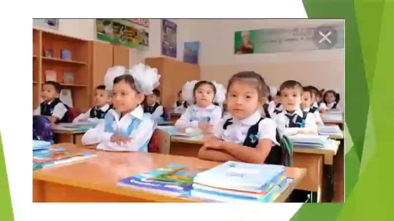 Amerika Qo'shma Shtatlarida Ta'lim Tizimi 4