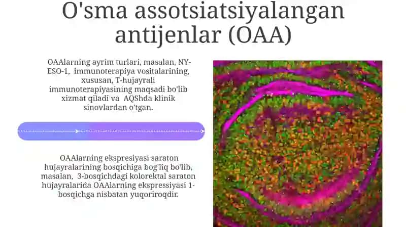 Immunopatalogiya uning oʻsma hujayralari 4