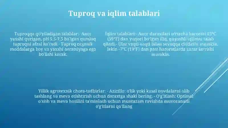 Agrotexnik Tadbirlarni Ishlab Chiqish 4