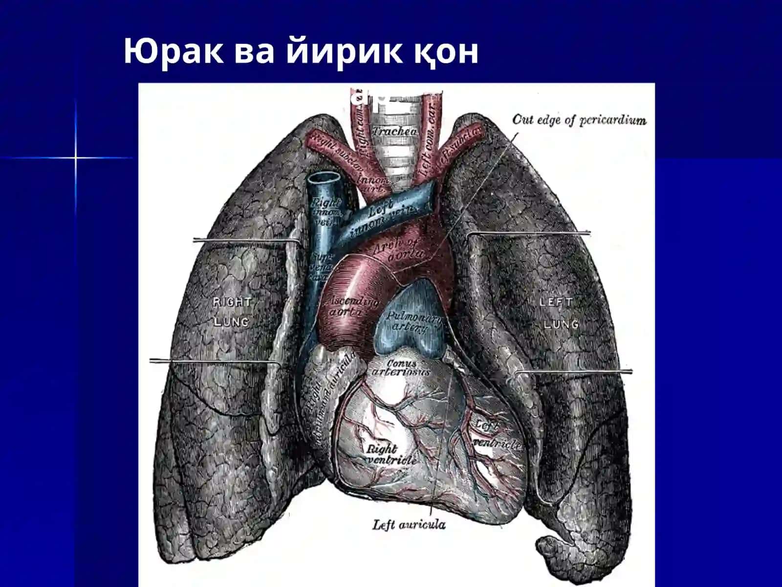 Юрак 4