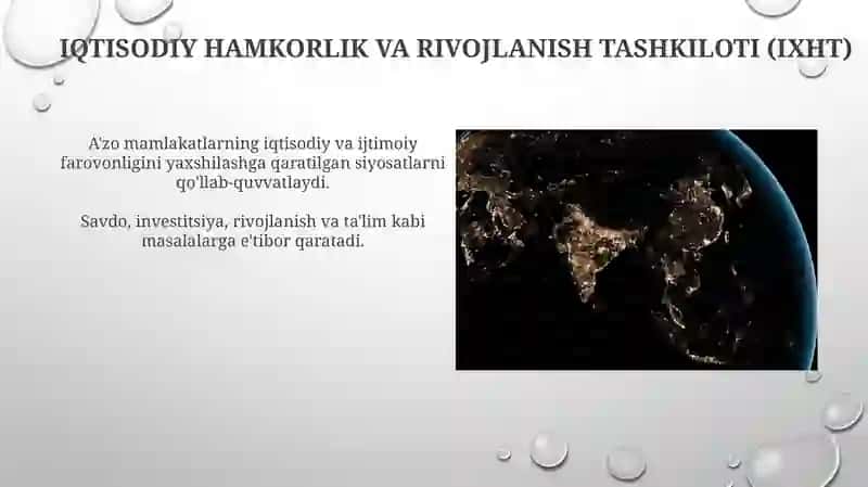 Jahoning yirik iqtisodiy tashkilotlari va ularning roli 4