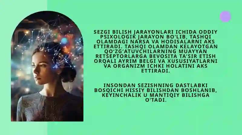 Sezgi. Sezgilarning nerv-fiziologik asoslari. Sezgilar tasnifi va turlari. Idrok haqida tushuncha , idrokning asosiy xossalari va turlari 4
