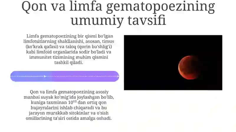 Qon va limfa gemopoezi 4