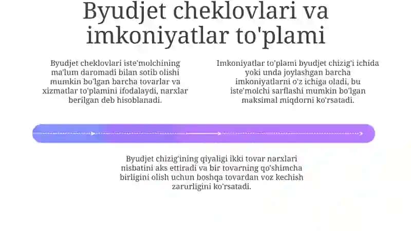 Iste'molchi tanlovi nazariyasi 4
