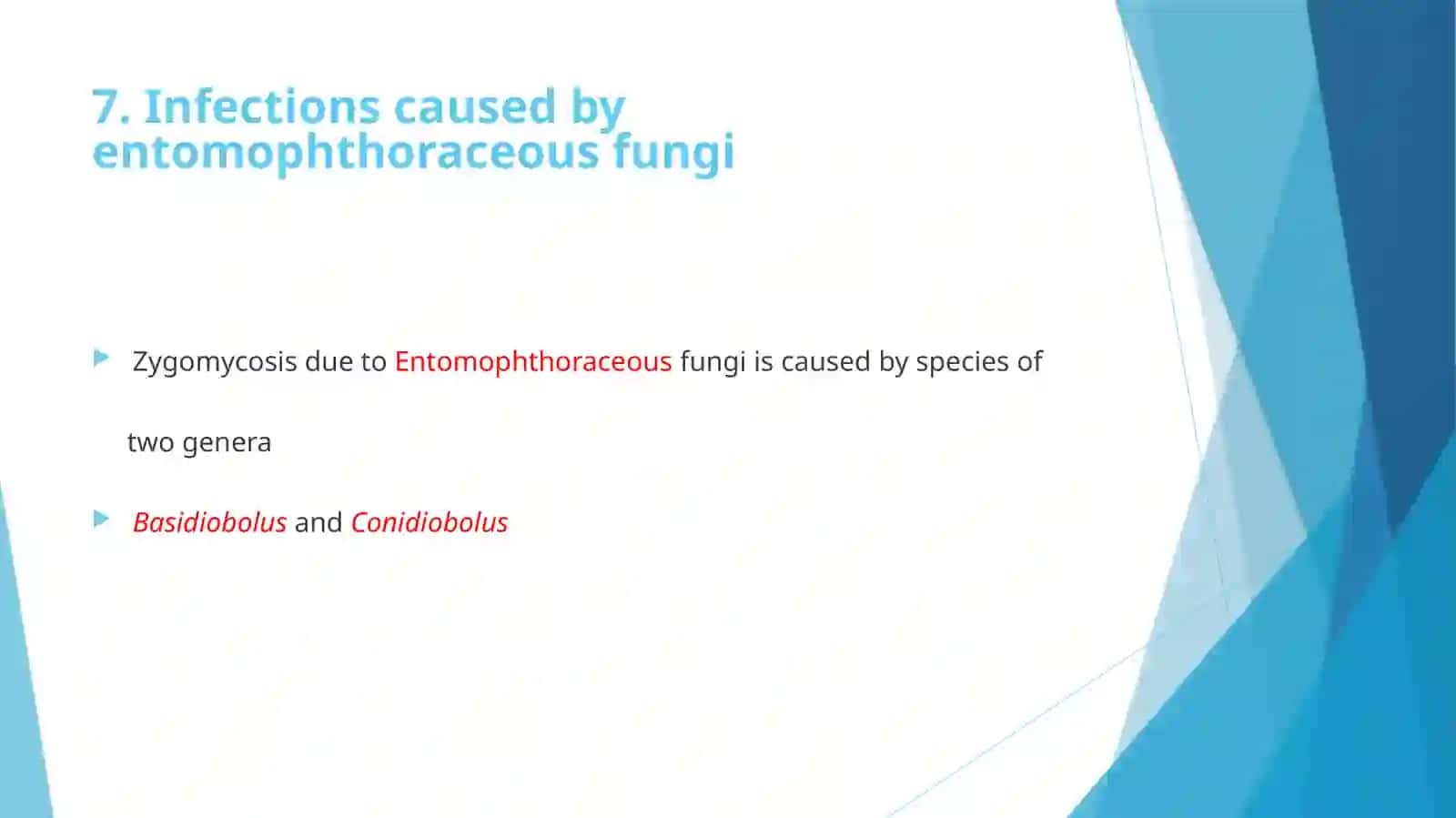 Zygomycosis 4