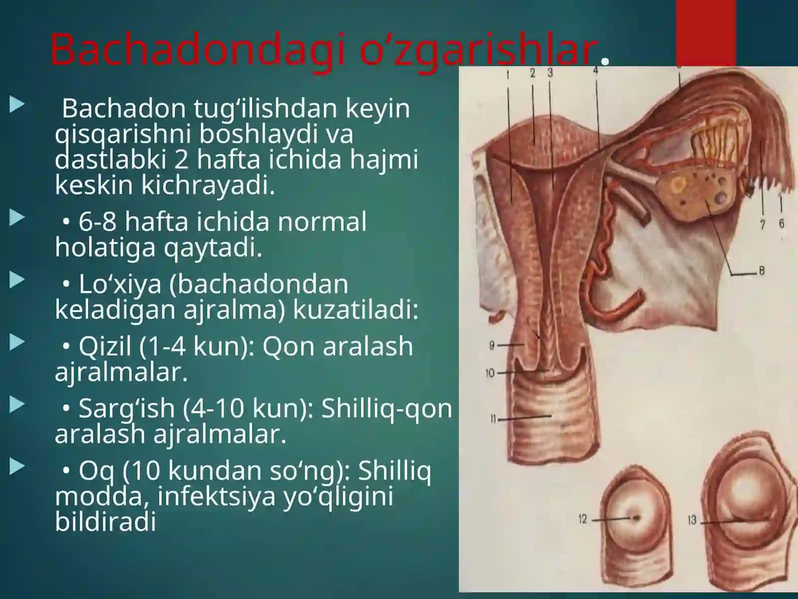 Fiziologik tug’ruqdan keying davr 4