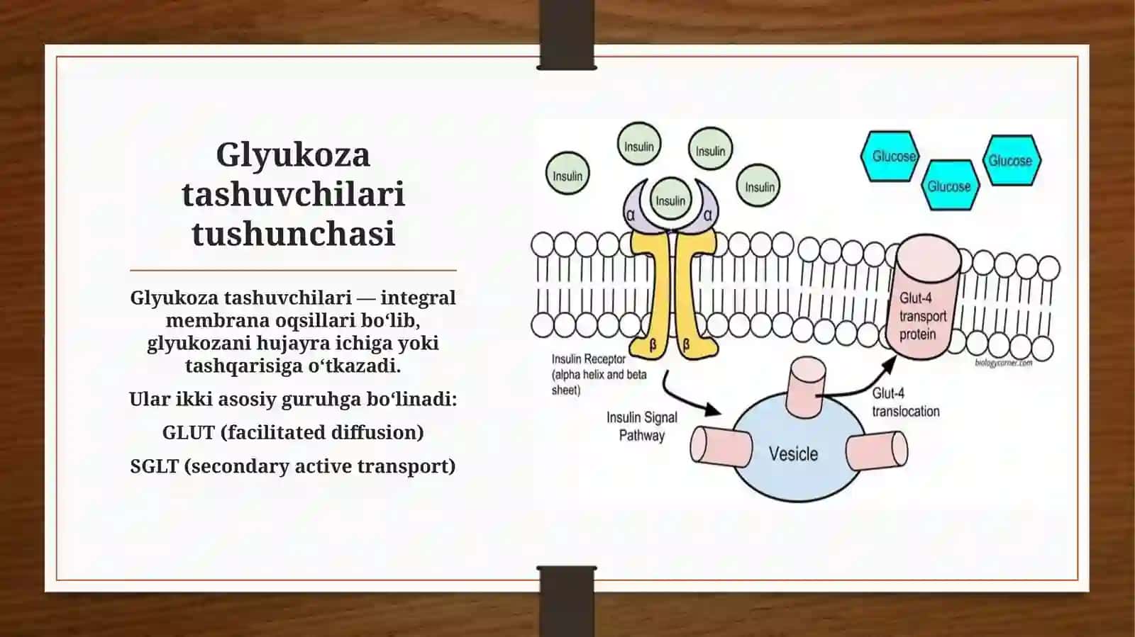 Biokimyodan prezentatsiya 4