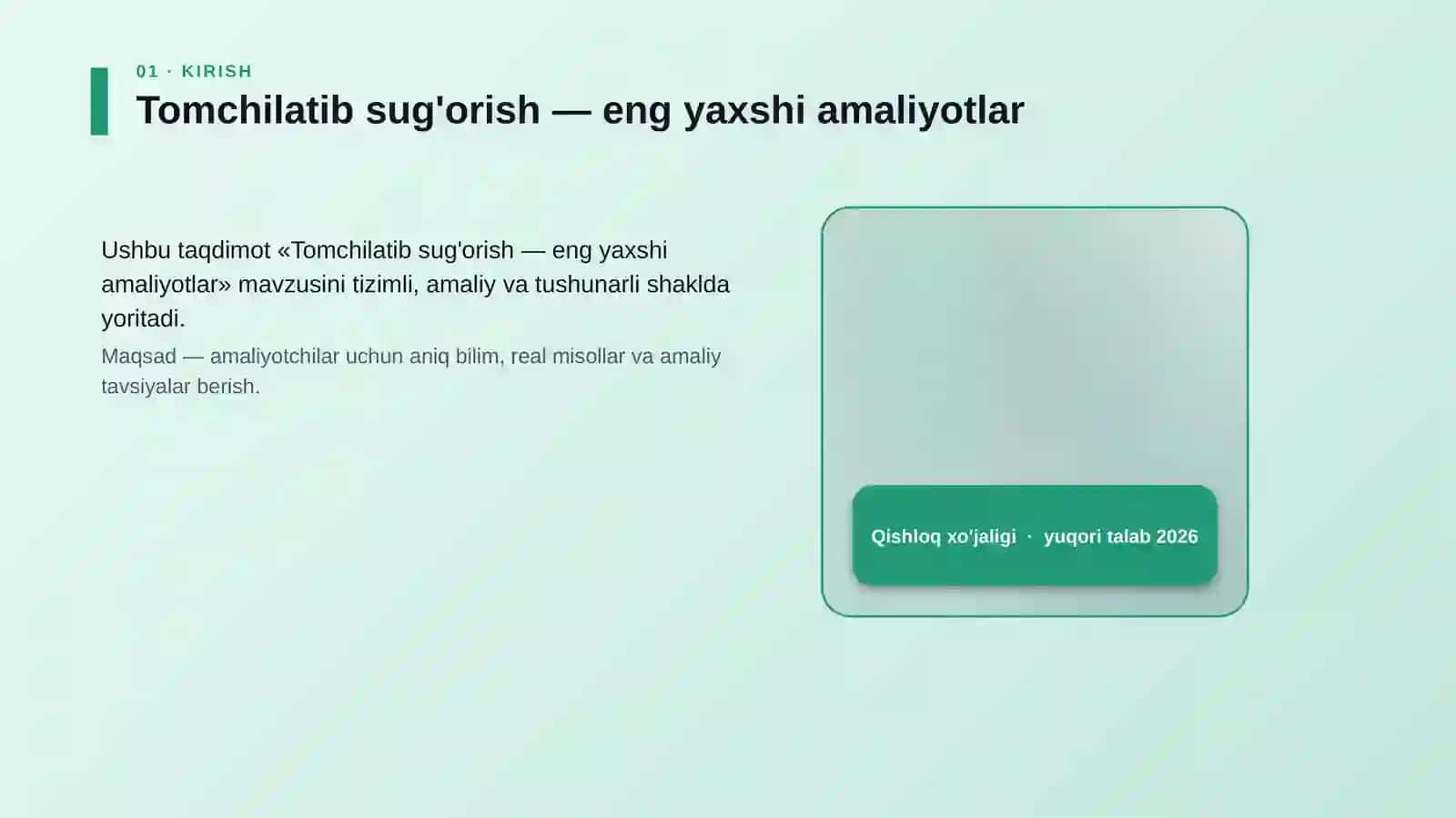 Tomchilatib sug'orish 4