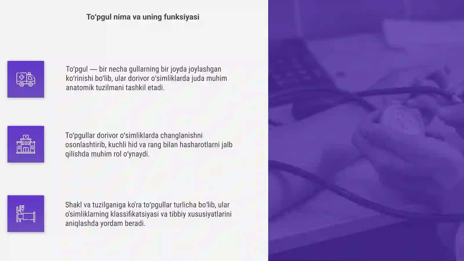 Dorivor oʻsimliklarning toʻpgullari shakl va turi:kuzatuvi tasnifi 4