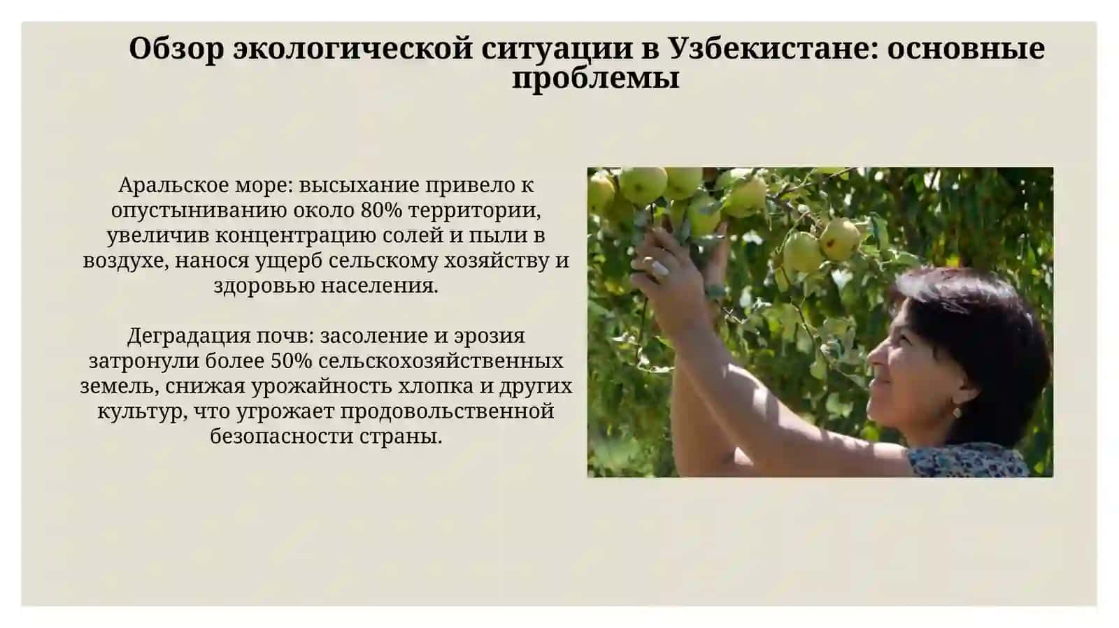Экологическая политика и экономический механизм ее реализации вУзбекистане 4