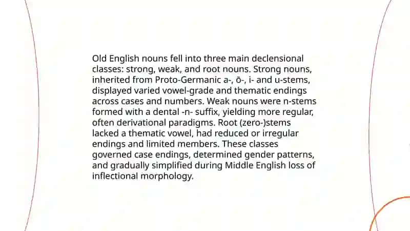 The historical development of noun declensions 4