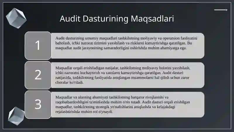Audit Dasturi 4