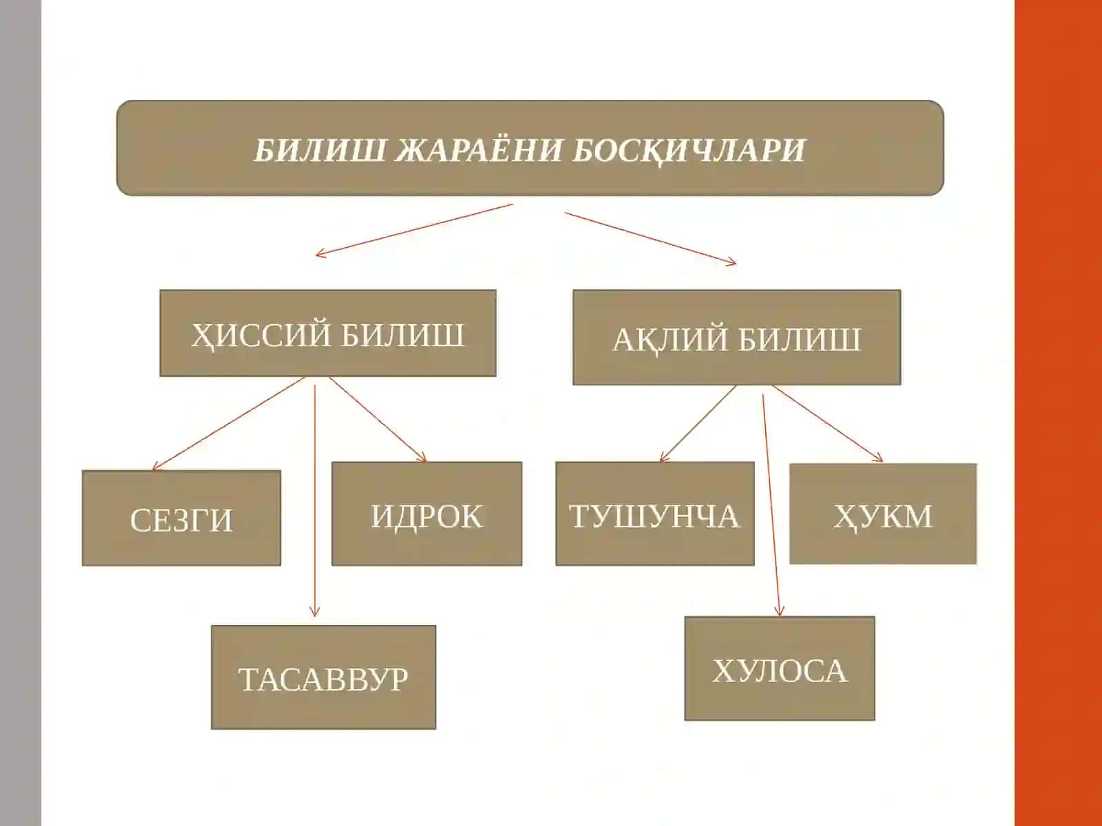 Тафаккурнинг шакл ва қонунлари 4
