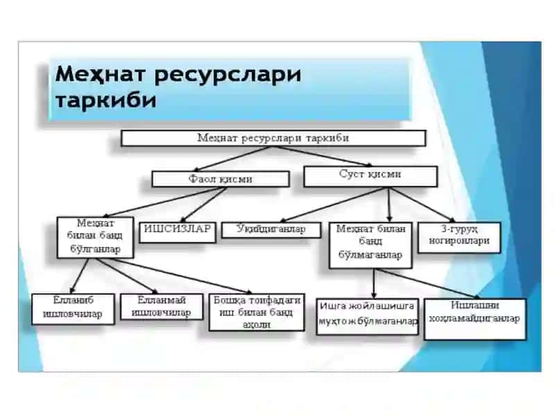 Меҳнат ресурслари ва меҳнат потенциали 4