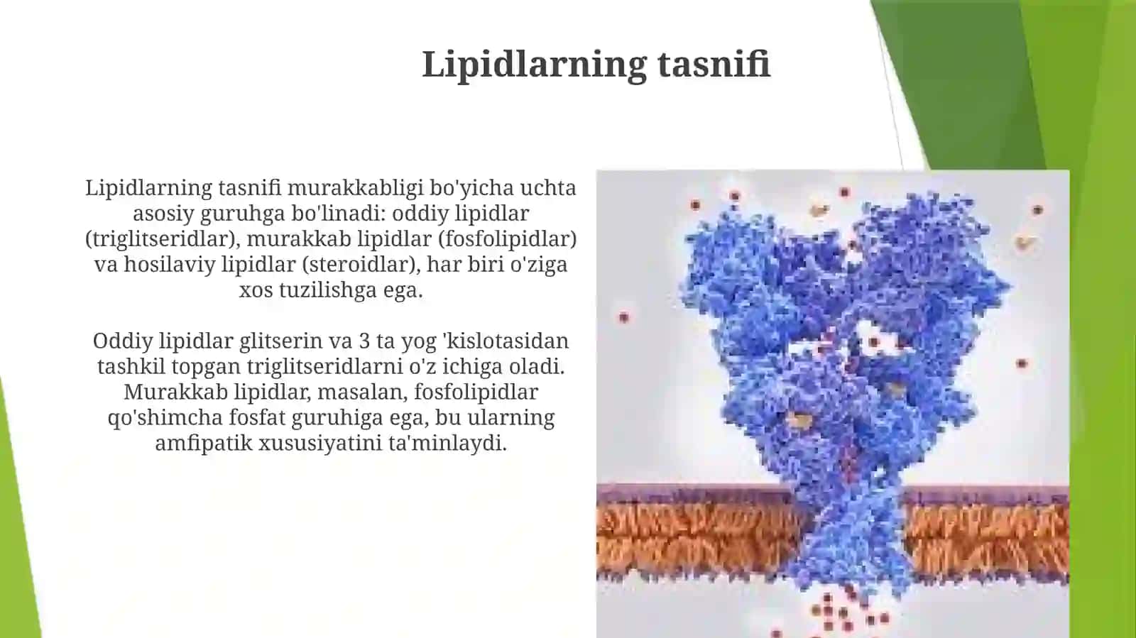 Lipidlarning biologikahamiyati 4