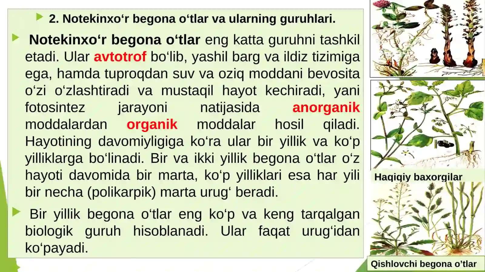 Organik dehqonchilik va o'rmon melioratsiya 4