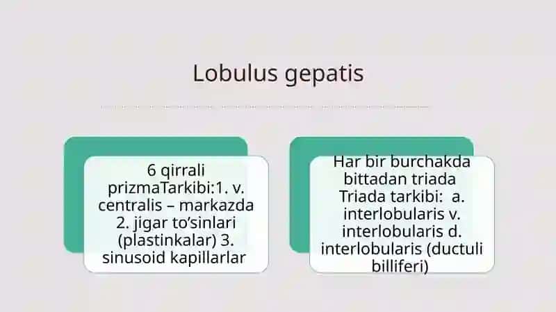 Hazm qilish gistologiyasi:Hazmlanish jarayonining endokrin boshqariluvi. Me’da-ichak nayining endokrin hujayralari 4