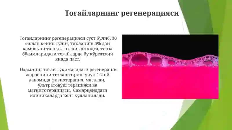Gistalogiya fanidan 4