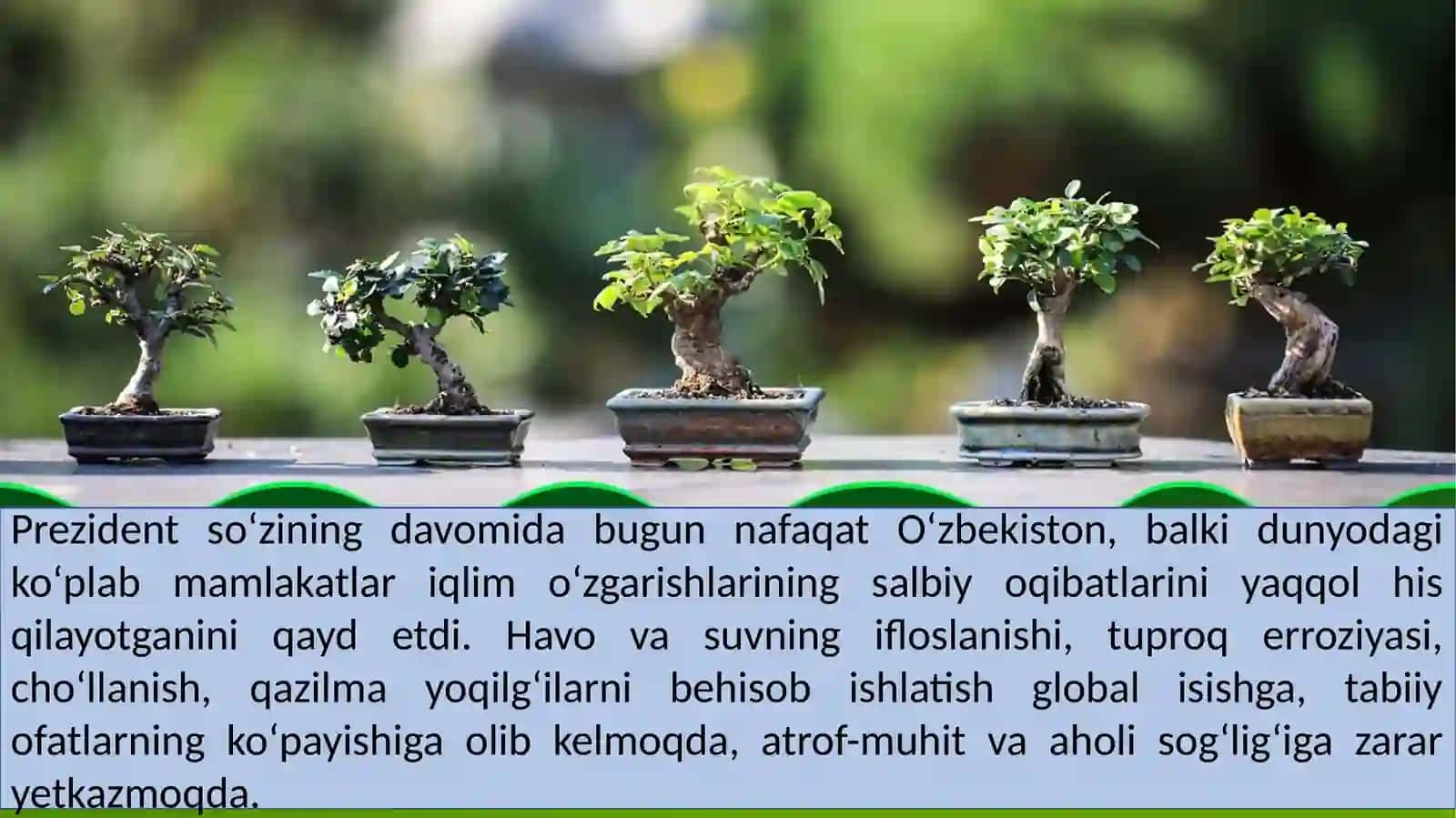"Atrof-muhitni asrash, yashil iqtisodiyot" yili 4