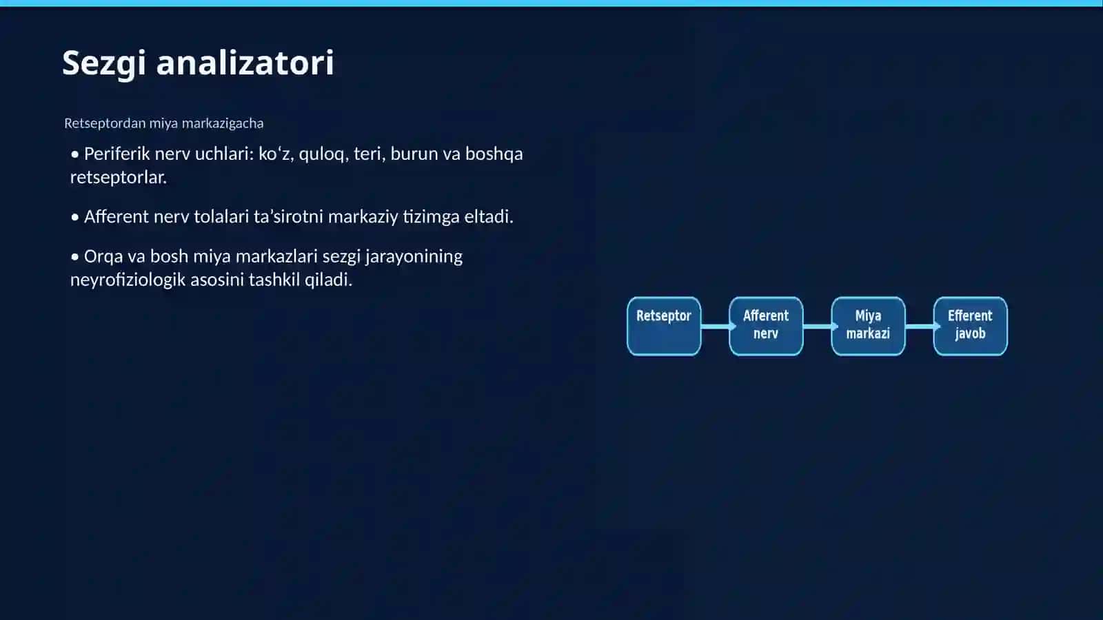 Sezgi borasida nazariyalar 4