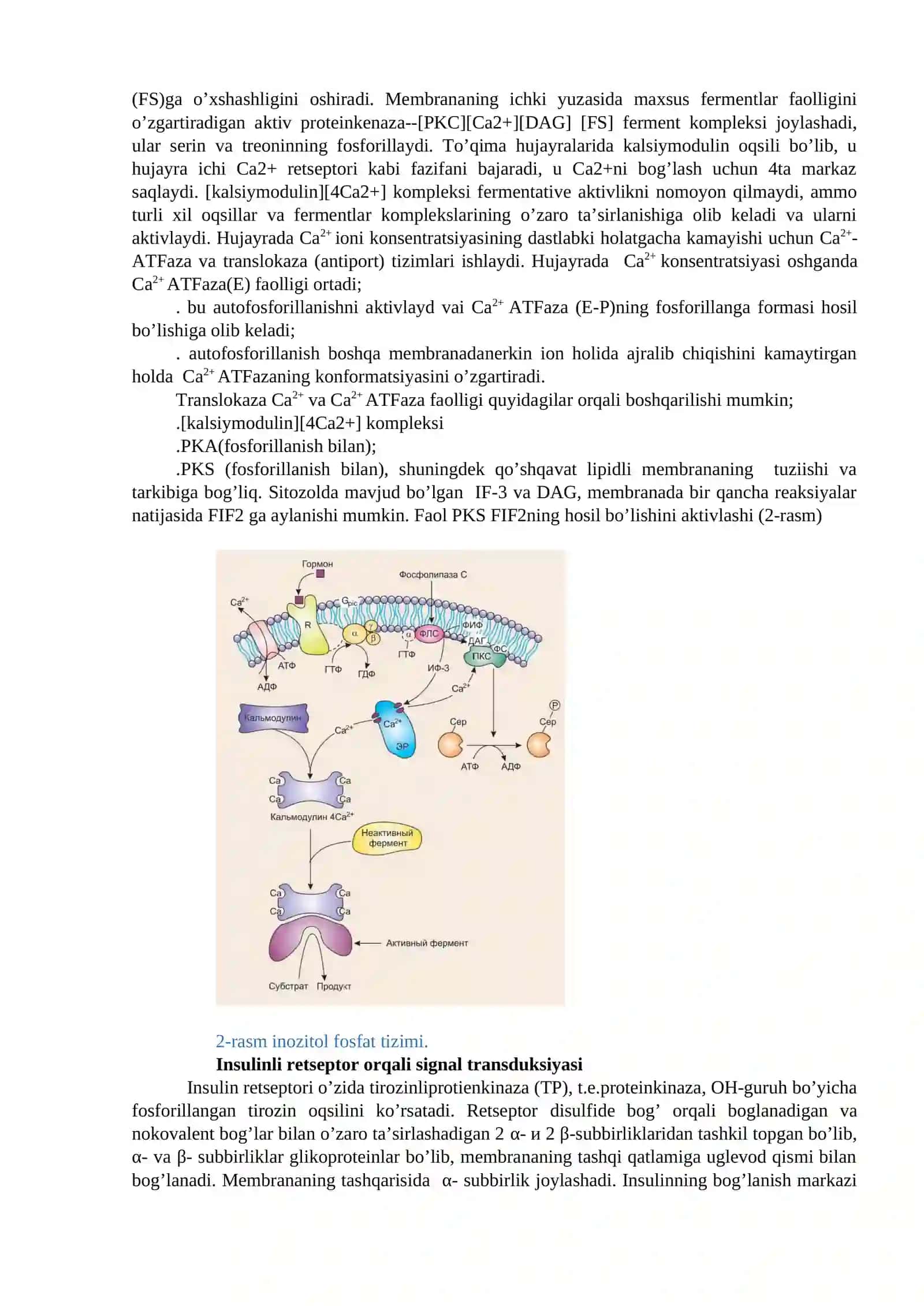 ENDOKRIN TIZIM BIOKIMYOSI 4