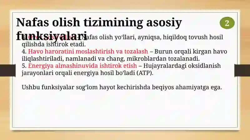 Nafas olish tizimi 4
