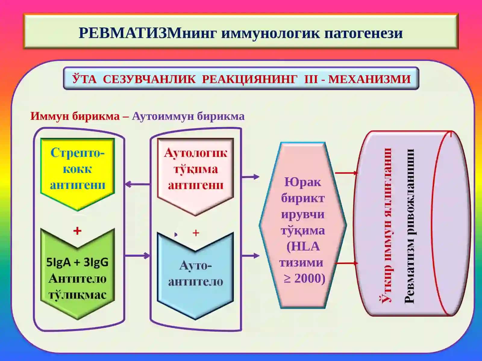 ПАТОЛОГИК АНАТОМИЯ 4