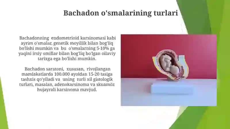 Bachadon o’smasi 4