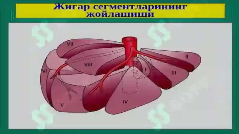 Jigar xirurgik kasaliklari 4