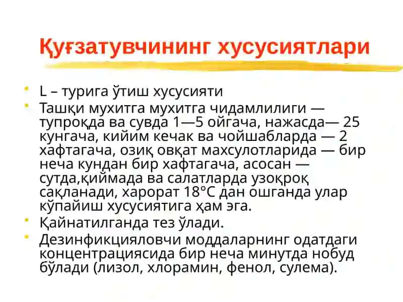 Ичтерлама–қорин тифи (typhusabdominalis) 4