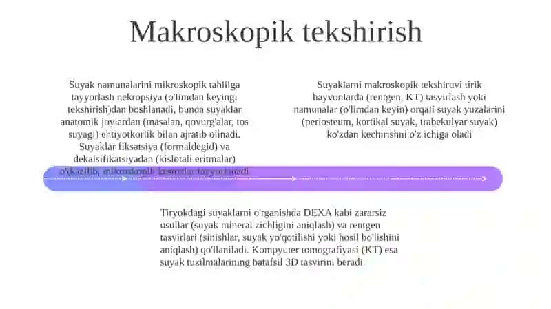 Skelet suyaklarini tirik hayvonda o'rganish va preparatlar tayyorlash 4