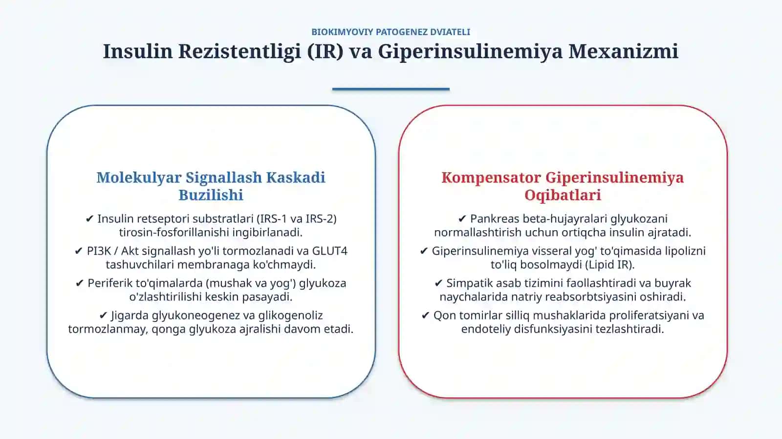 Metabolik sindrom: biokimyoviy asoslari va asoratlari — 15 slayd 4