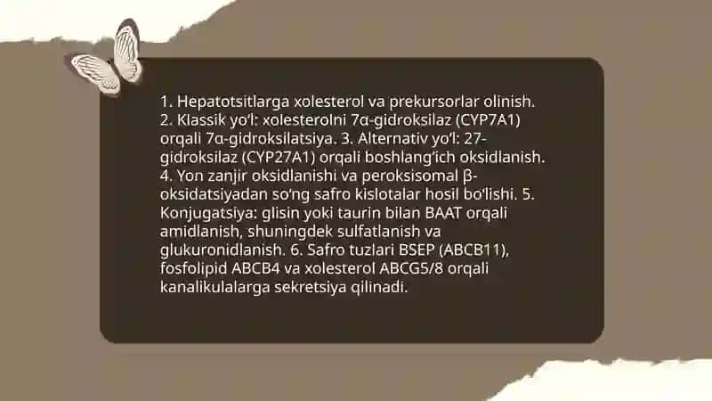 Jigarning hazm jarayonidagi roli 4