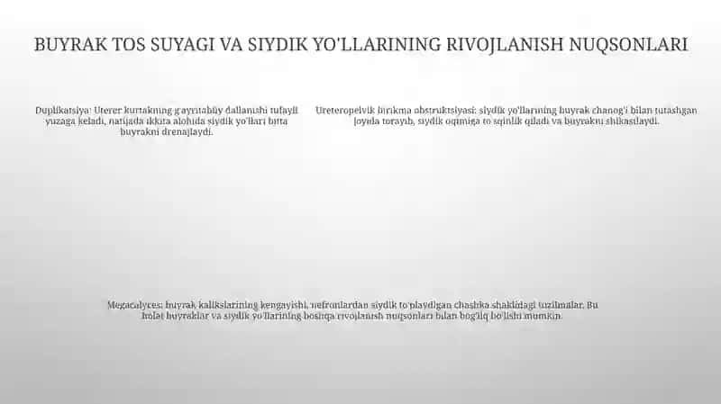 Siydik Ayiruv A'Zolarining Rivojlanish Nuqsonlari 4