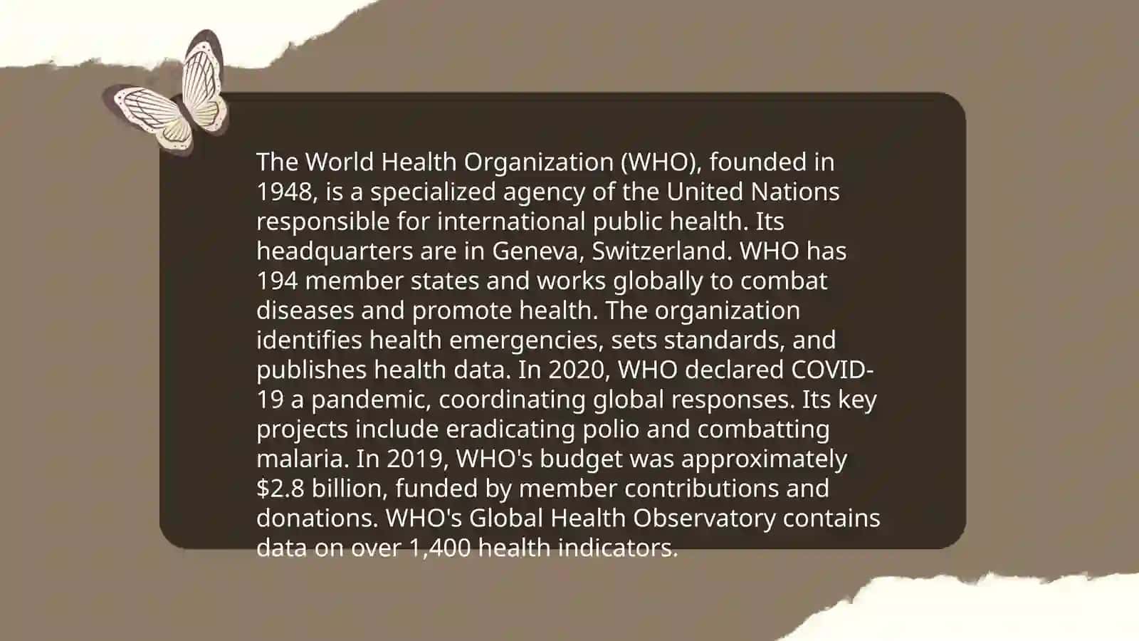 World Organization 4
