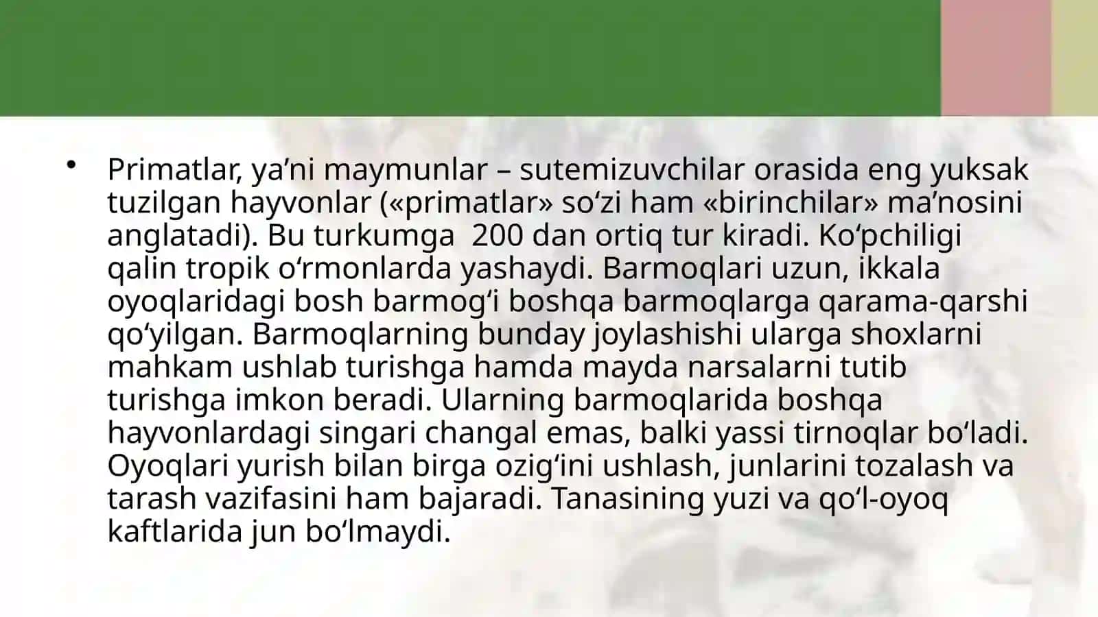 7-sinf Zoologiya 'Primatlar turkumi, sutemizuvchilarning ahamiyati' ko'rgazma 4