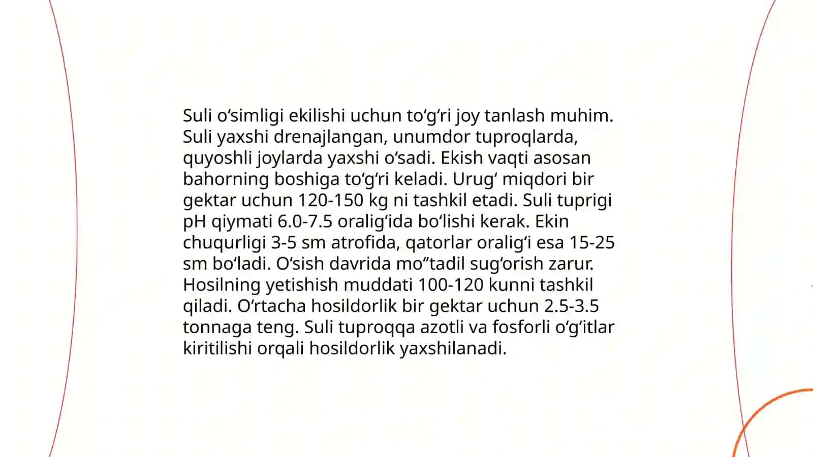 Suli o'simligi 4