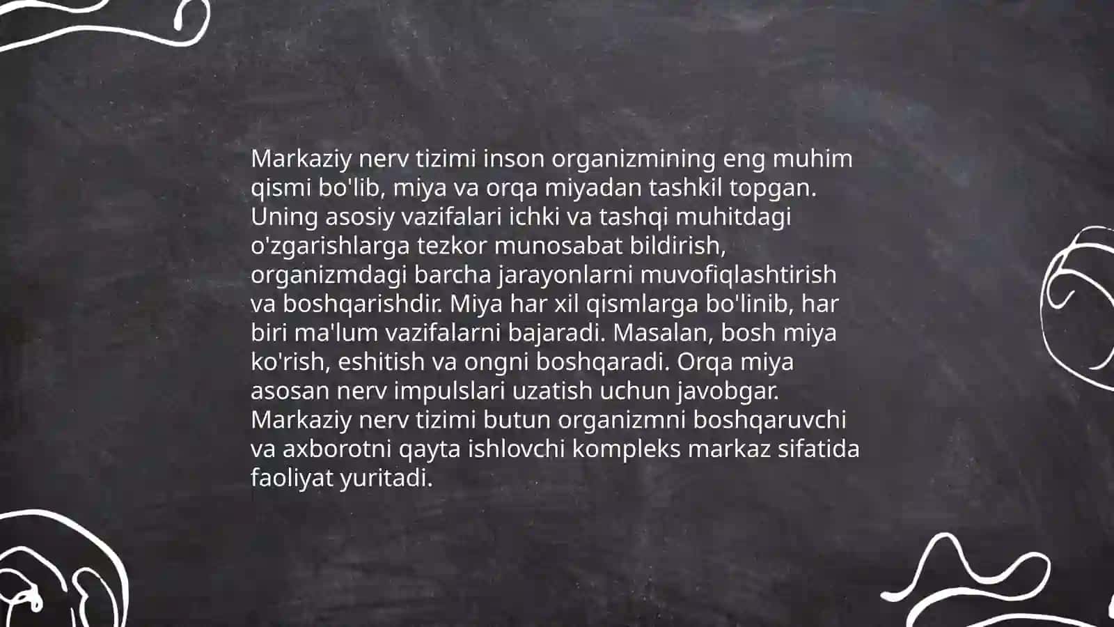 Nerv tizimining xususiy fiziologiyasi va gigiyenasi 4