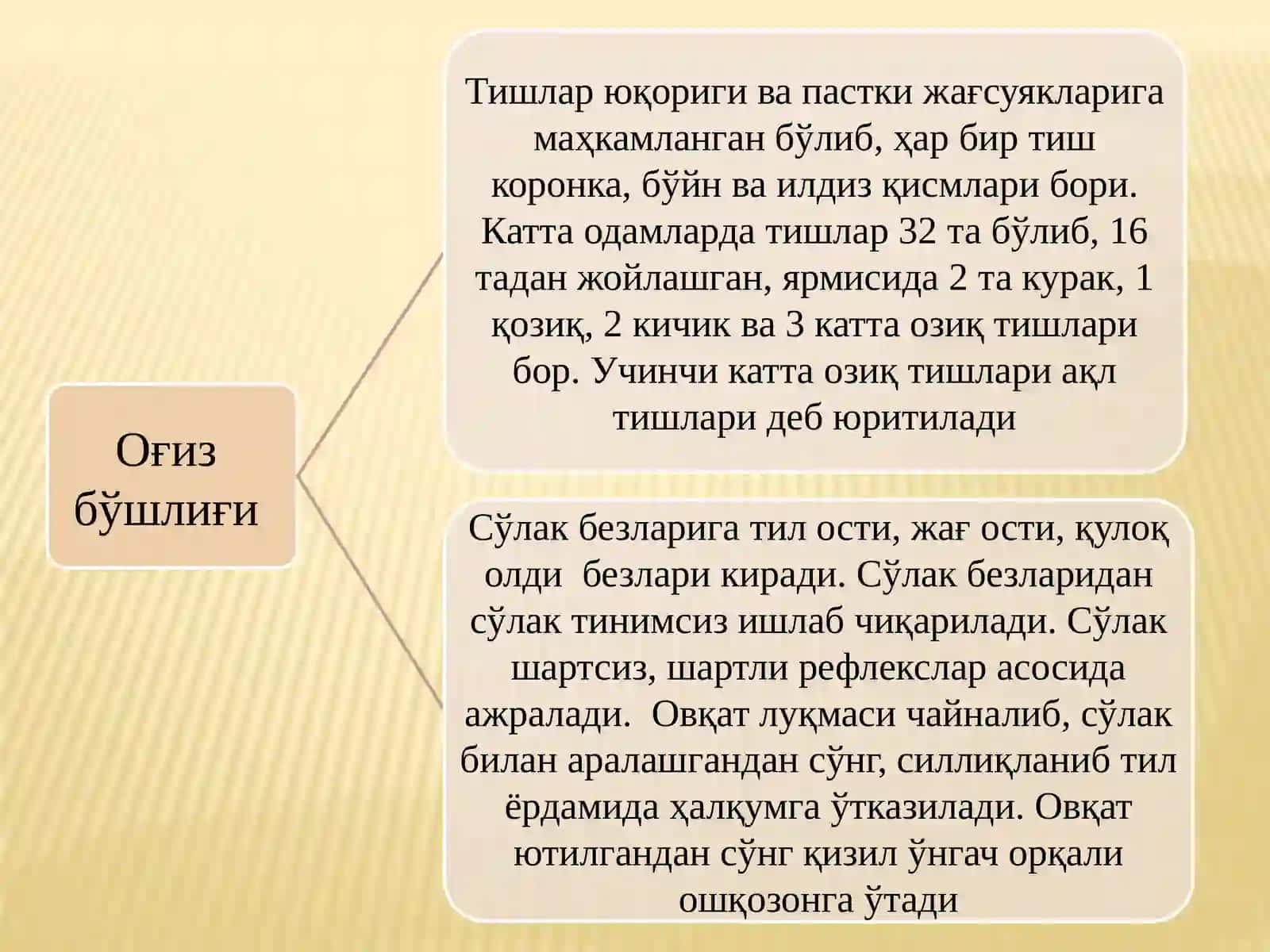 ОВҚАТ ҲАЗМ ҚИЛИШ ТИЗИМИНИНГ ЁШ 4