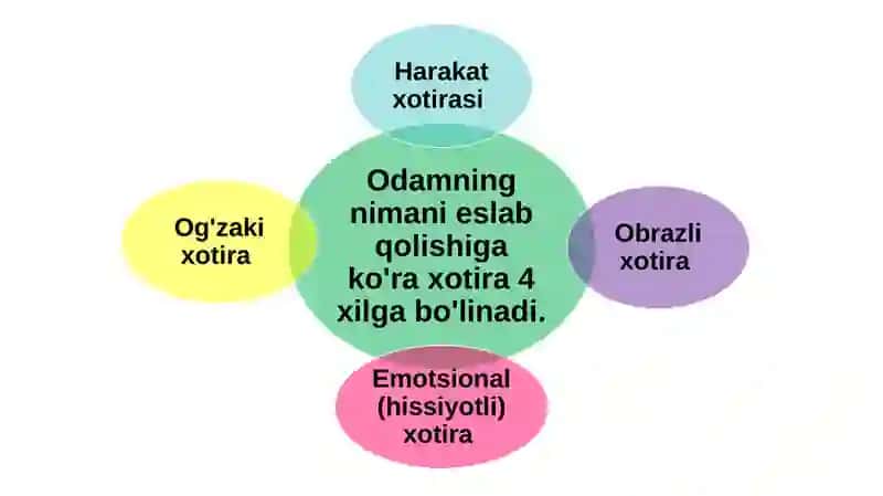 Xotira 4