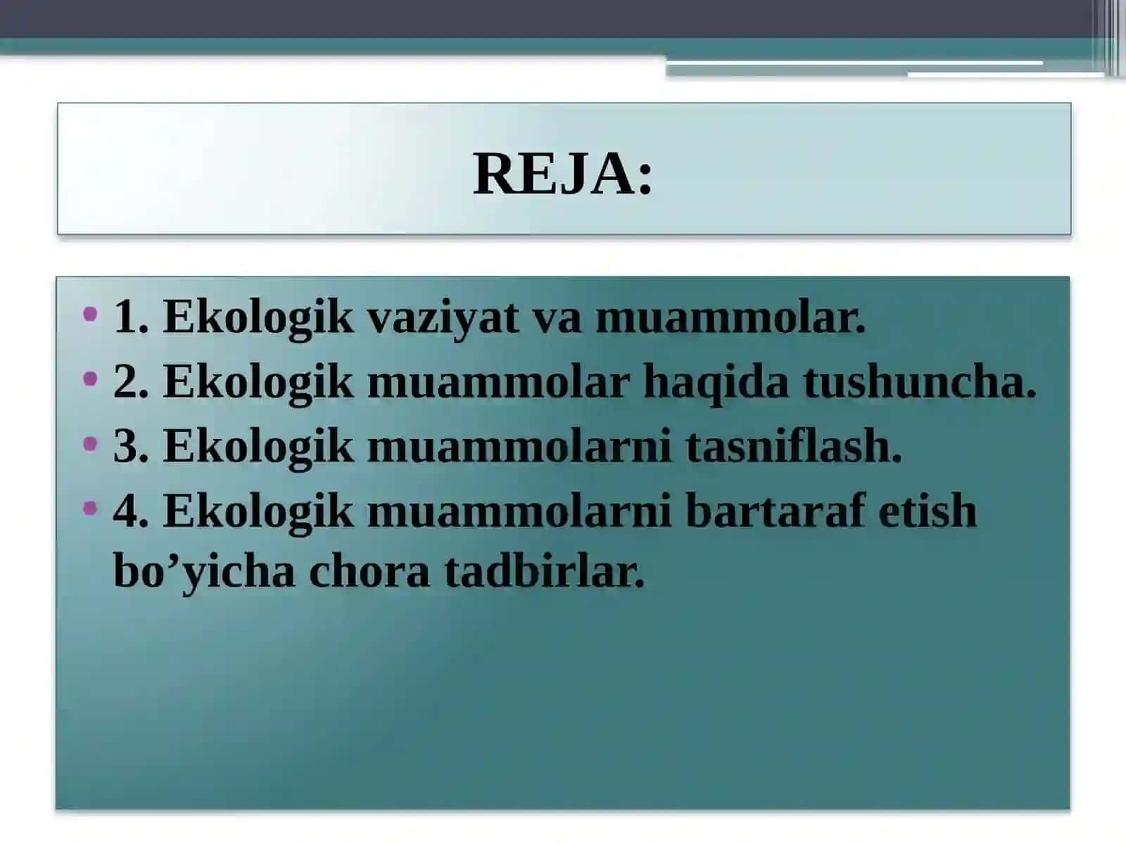 Mahalliy ekologik muammolar va ularning oqibatlari 4